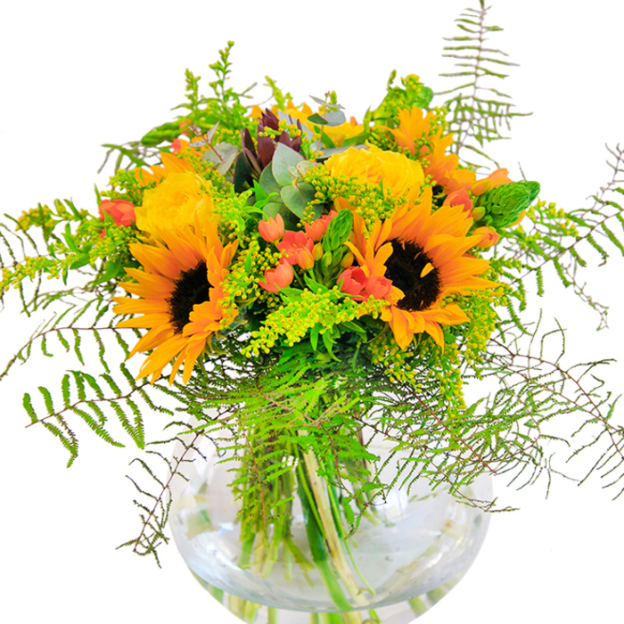 This sun-kissed bouquet is a local Welling favourite, reminiscent of golden fields and breezy afternoons near Danson Park. Towering sunflowers, with their unmistakable dark brown centres and layers of yellow-orange petals, take pride of place, radiating cheerful energy and warmth. Woven alongside are tight clusters of yellow garden roses, their elegantly curled petals adding both depth and a touch of classic romance, as familiar as roses blooming beside Welling's historic High Street homes. Glossy red Hypericum berries punctuate the bouquet, scattering a playful vibrancy amid the softer hues. The abundance of trailing ferns, delicate solidago sprigs, and subtle eucalyptus leaves creates a tapestry of texture and movement, as if capturing the lush vitality of a local Welling garden at its peak. Everything is gathered into a perfectly rounded, crystal-clear glass vase, letting the green stems shine through water that glimmers in the light. Up close, one might notice the tactile contrast-sunflowers' suede-like faces, roses' silky spirals, and the snap of fresh foliage-all blending together in one harmonious composition. The fragrance is understated but inviting, carrying hints of fresh meadows and late summer afternoons. Ideal for marking milestones or gracing a special breakfast table on Bellegrove Road, this arrangement brings a lasting sense of joy and celebrates the beauty of the season in Welling.